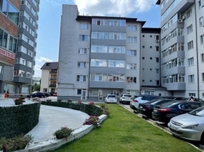 Apartament Panoramic George Enescu